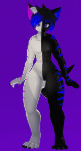 arko shark